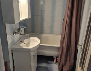 Appartement 2 chambres à louer dans Cluj-napoca, zone Manastur