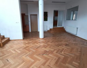 Maison 10 chambres à louer dans Cluj-napoca, zone Andrei Muresanu