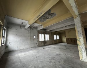 Espace Industriel à louer dans Cluj-napoca