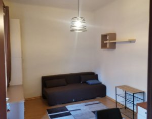 Apartament cu 1 camera in Centru