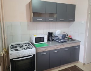 Appartement 1 chambres à louer dans Cluj-napoca, zone Marasti