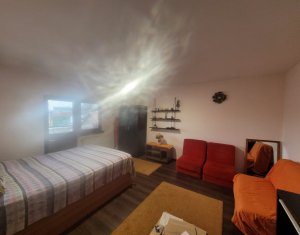 Appartement 1 chambres à louer dans Cluj-napoca, zone Marasti