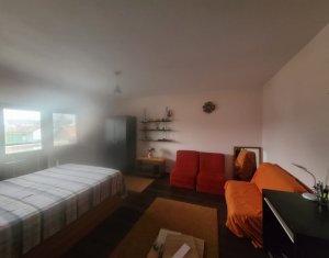 Appartement 1 chambres à louer dans Cluj-napoca, zone Marasti