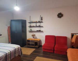 Appartement 1 chambres à louer dans Cluj-napoca, zone Marasti