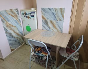 Appartement 1 chambres à louer dans Cluj-napoca, zone Marasti