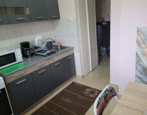 Appartement 1 chambres à louer dans Cluj-napoca, zone Marasti