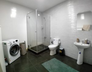 Appartement 2 chambres à louer dans Cluj-napoca