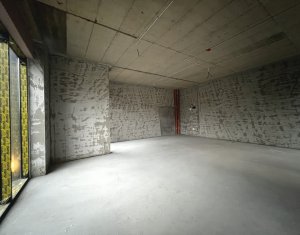 Espace Commercial à louer dans Cluj-napoca, zone Sopor