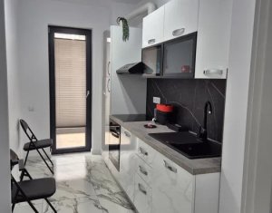 Appartement 2 chambres à louer dans Cluj-napoca, zone Andrei Muresanu