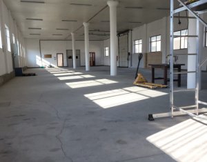 Industrial space for rent in Luna De Sus