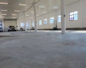 Industrial space for rent in Luna De Sus