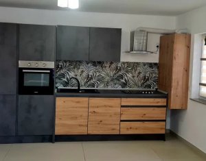 Maison 4 chambres à louer dans Cluj-napoca, zone Borhanci