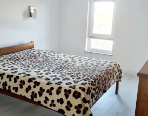 House 4 rooms for rent in Cluj-napoca, zone Borhanci