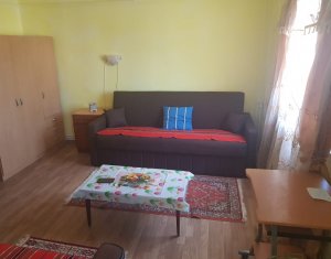 Apartment 1 rooms for rent in Cluj-napoca, zone Centru