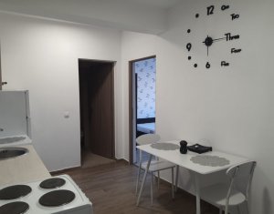 Appartement 2 chambres à louer dans Cluj-napoca, zone Buna Ziua