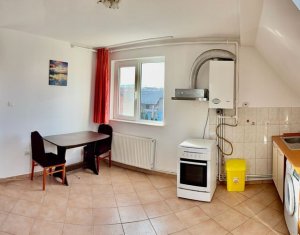 Appartement 2 chambres à louer dans Cluj-napoca, zone Someseni